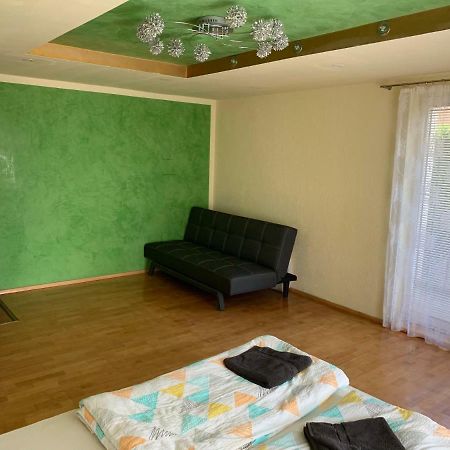 Nexi S Appartement An Der Enns 9 Radstadt Zewnętrze zdjęcie